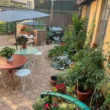 Guest house Zewwelatreppler - La Grange Aux Petits Oignons - Cigogne Selestat