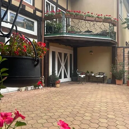 ゲストハウス Zewwelatreppler - La Grange Aux Petits Oignons - Cigogne 3*