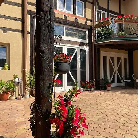 Guest house Zewwelatreppler - La Grange Aux Petits Oignons - Cigogne